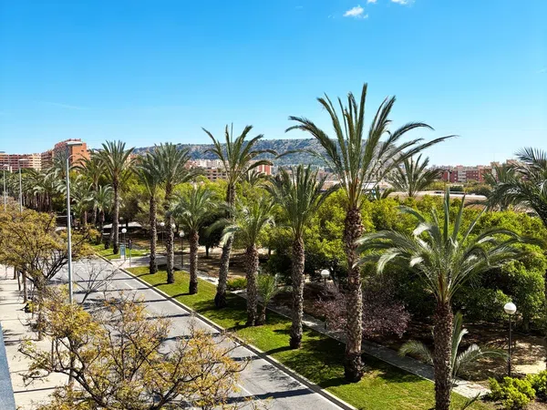 Piso en calle Granja de Rocamora, 4 - Foto 12