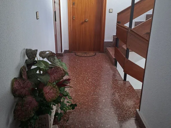 Piso en Calle Ibarra, 2 - Foto 31