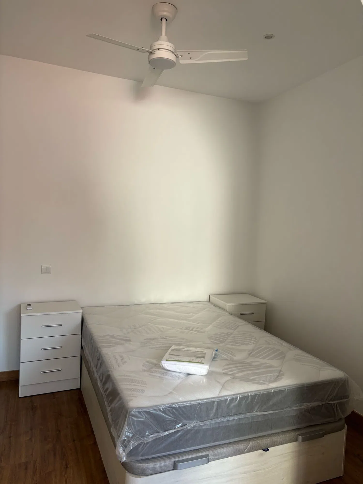 Estudio en calle de Murillo, 8 - Foto 23