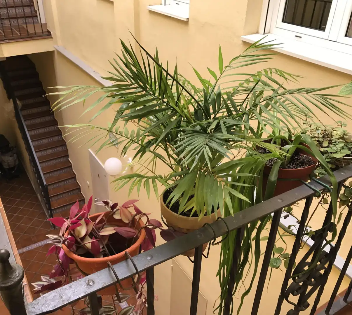 Piso en  Calle Jabugo 32a - Foto 19