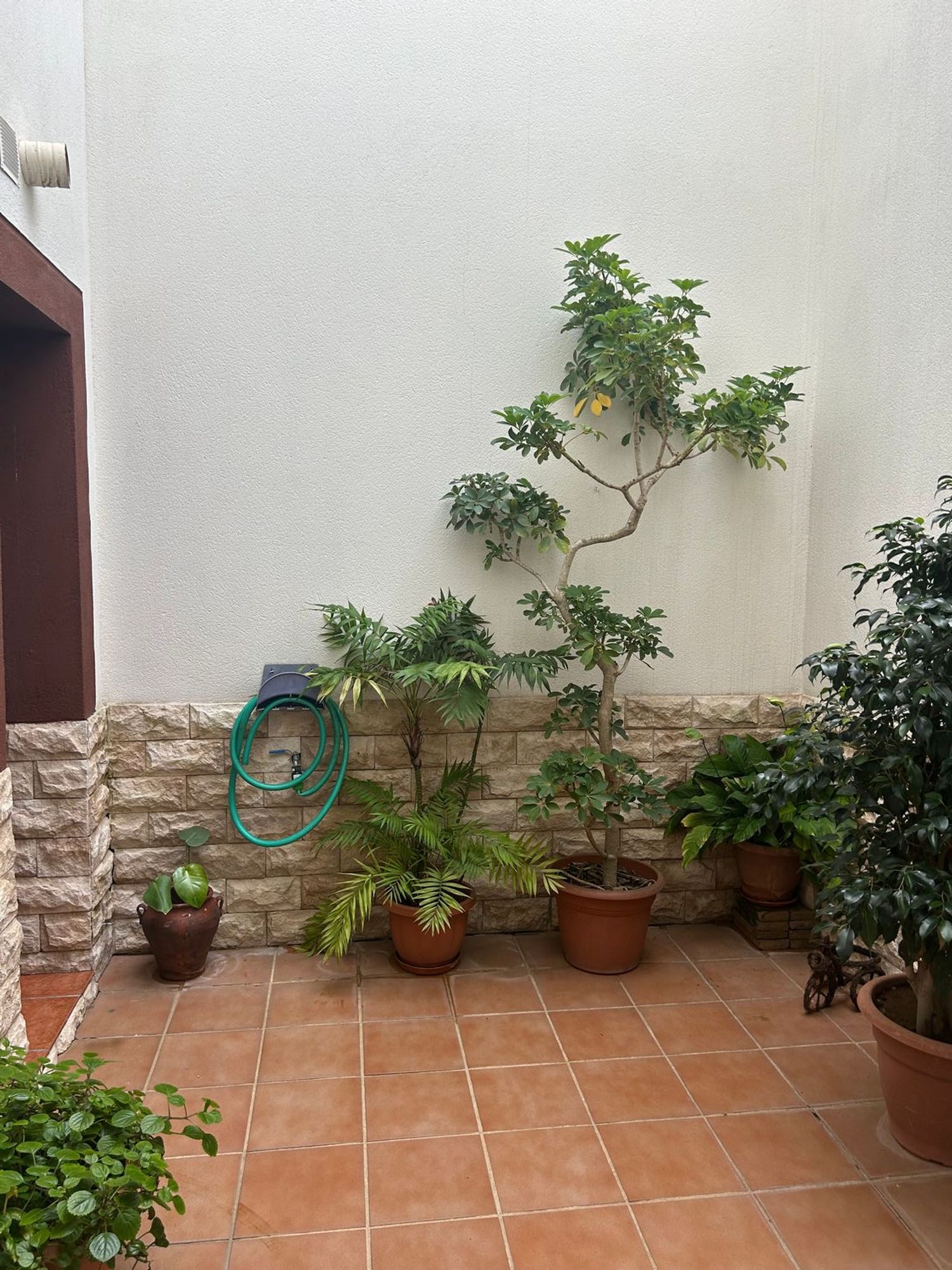 Casa o chalet independiente en Calle Cantero Gonzalo Rodriguez, 3, El Higuerón - Foto 4