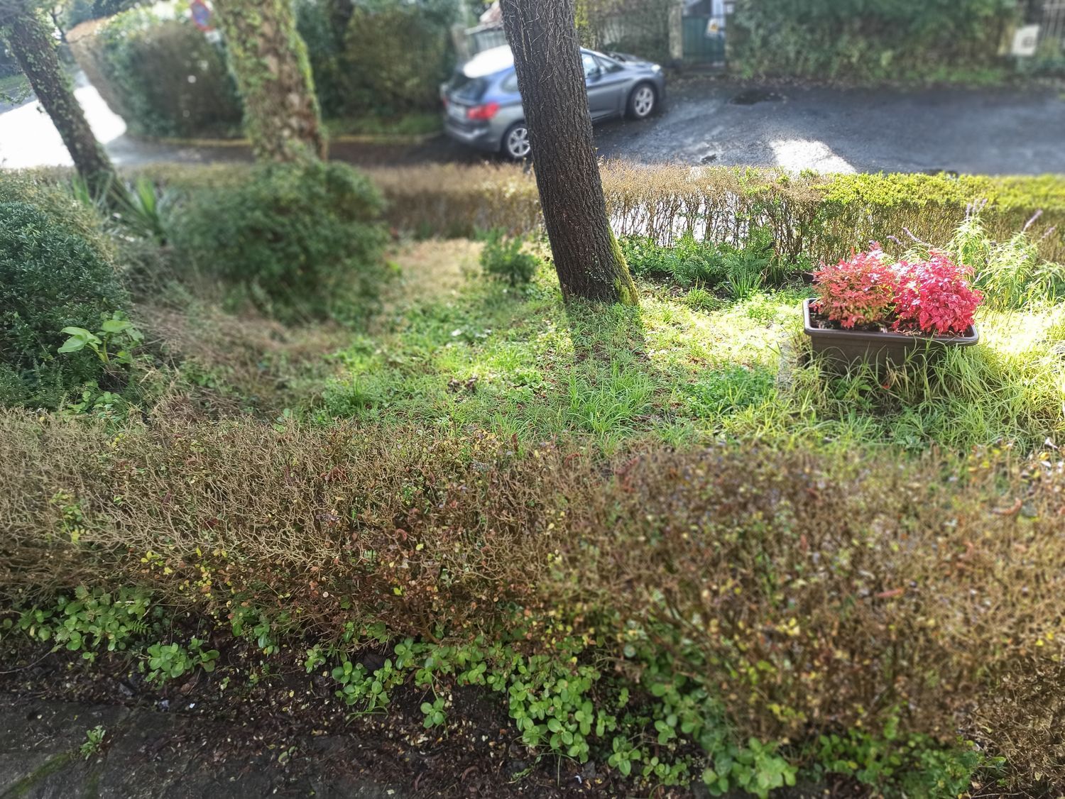 Chalet pareado en Rua Cancelas, 45 - Foto 6