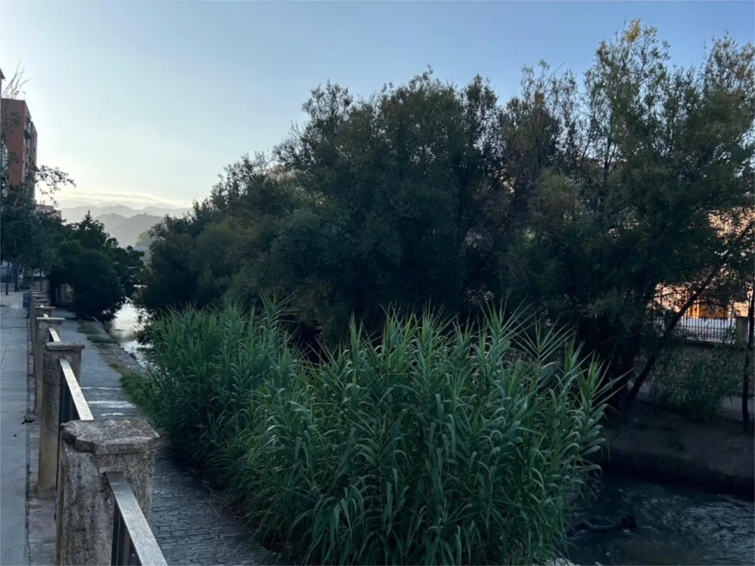 Piso en  Calle el Trevenque 30 - Foto 26