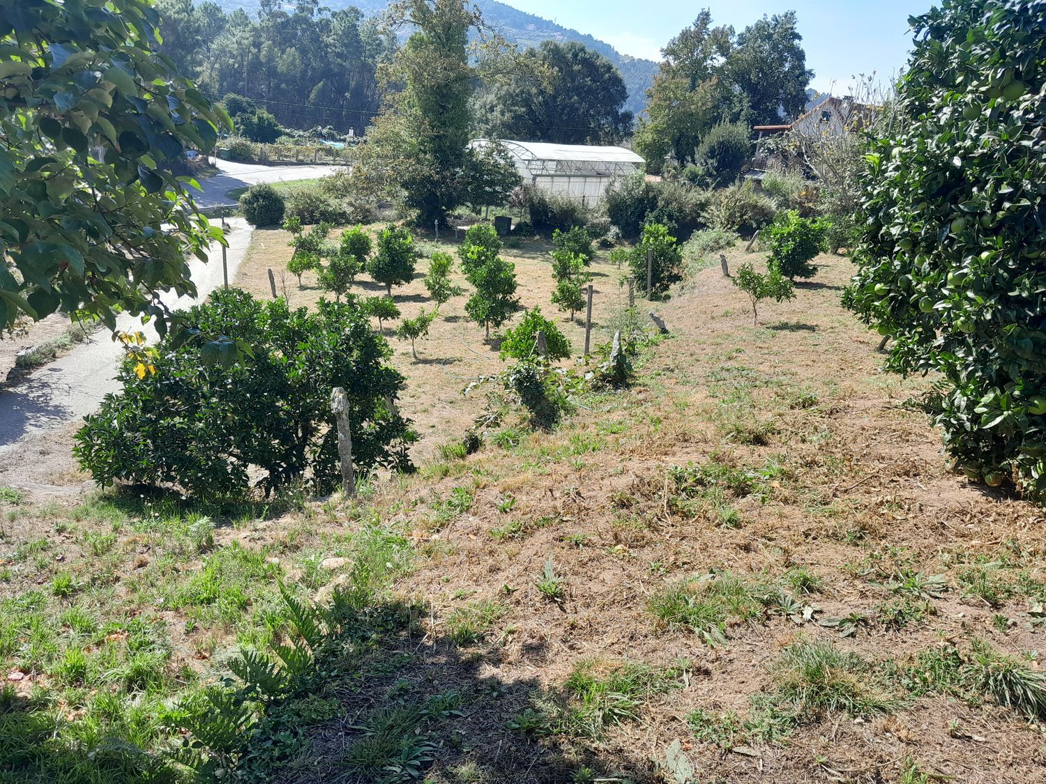 Finca rústica en Alboredos s/n - Foto 12