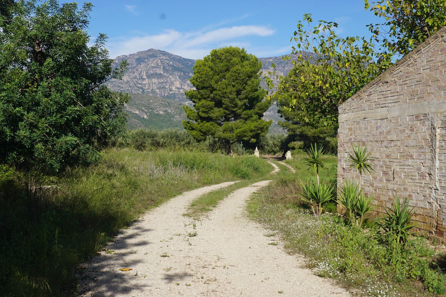 Casa rural en Pd Parellades - Polígono 16, Panxa Blanca, 49 Parcela - Foto 2