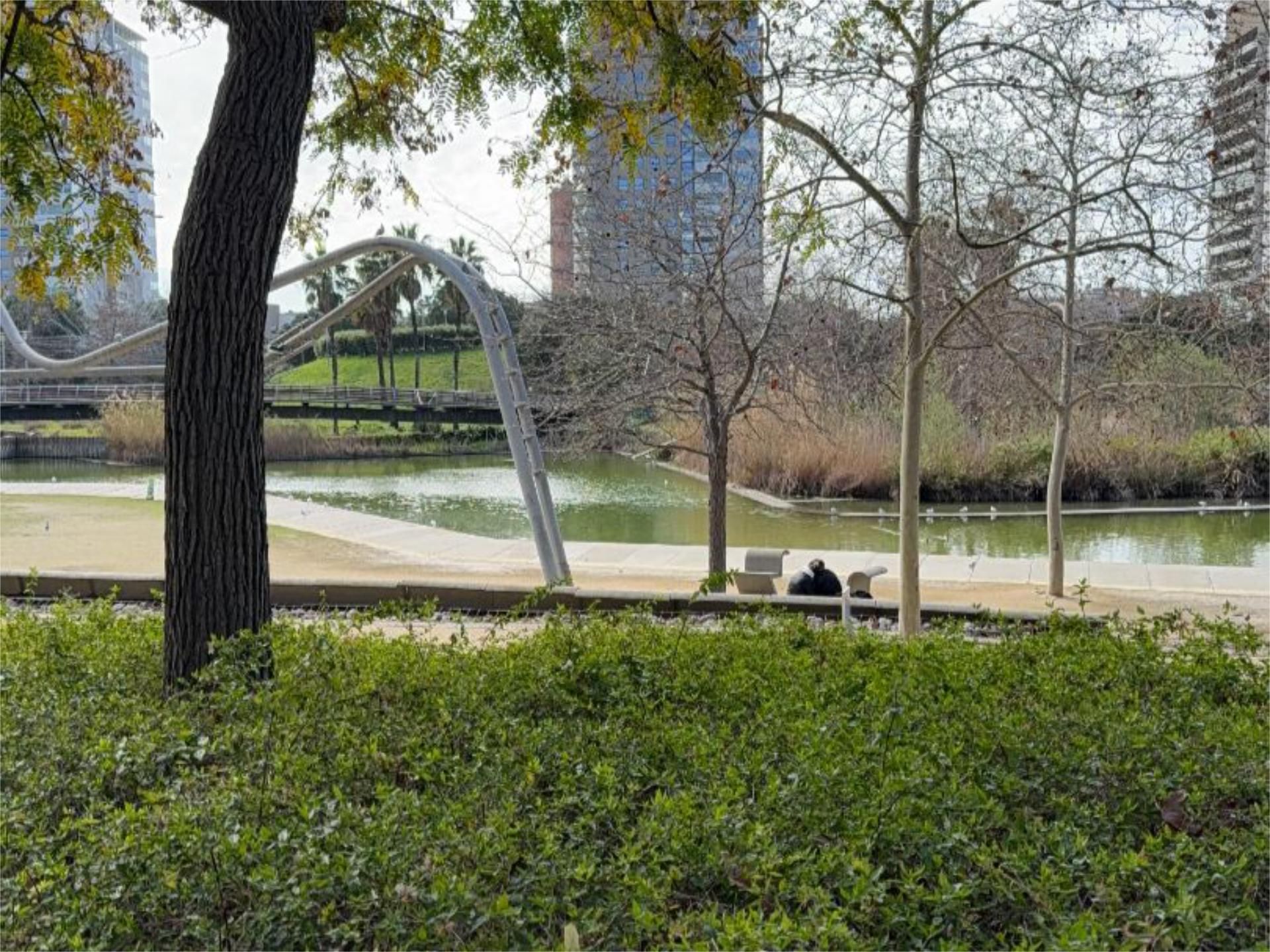 Piso en  Passeig de Garcia Fària 81 - Foto 25