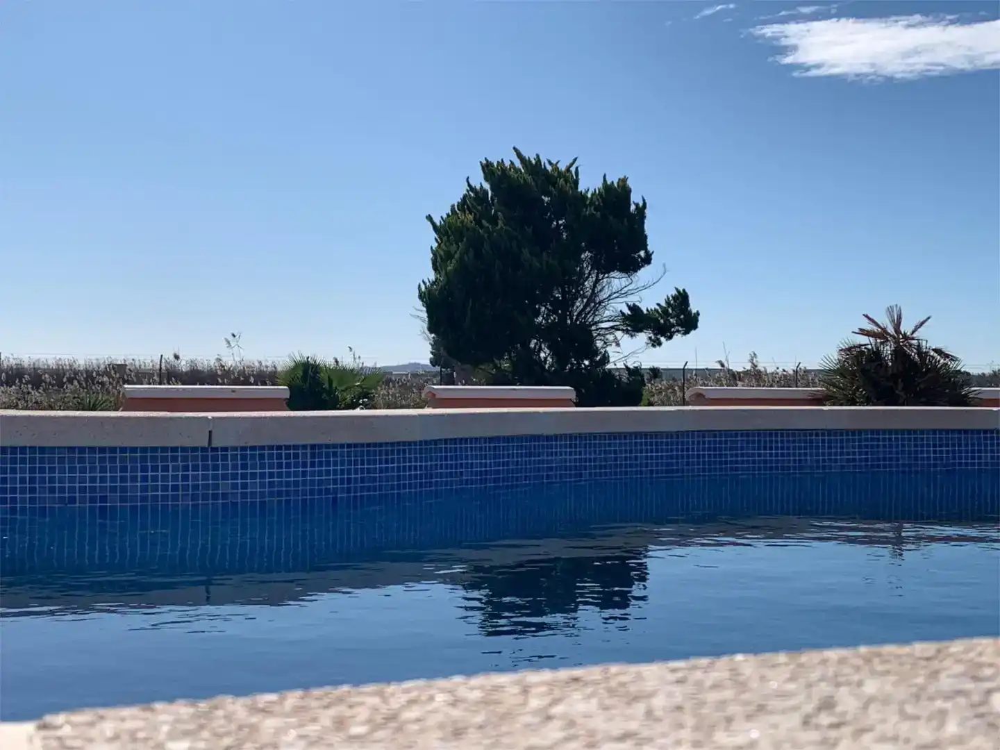 Planta baja en  Vereda Sobreviñas 38 - Foto 23
