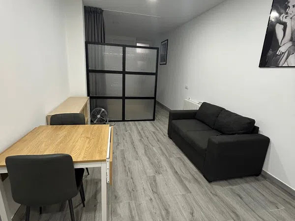 Estudio en Calle Ángel Barajas, 5, Zona Estación - Foto 6