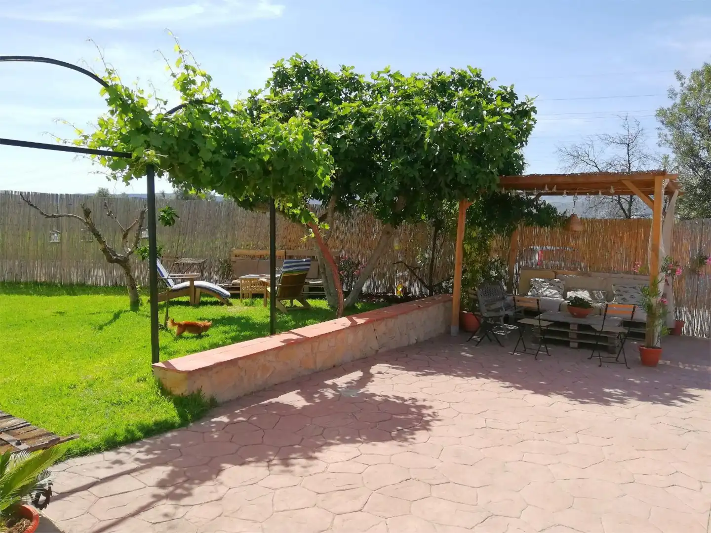 Chalet en  Diseminado Poligono 216 39 - Foto 9