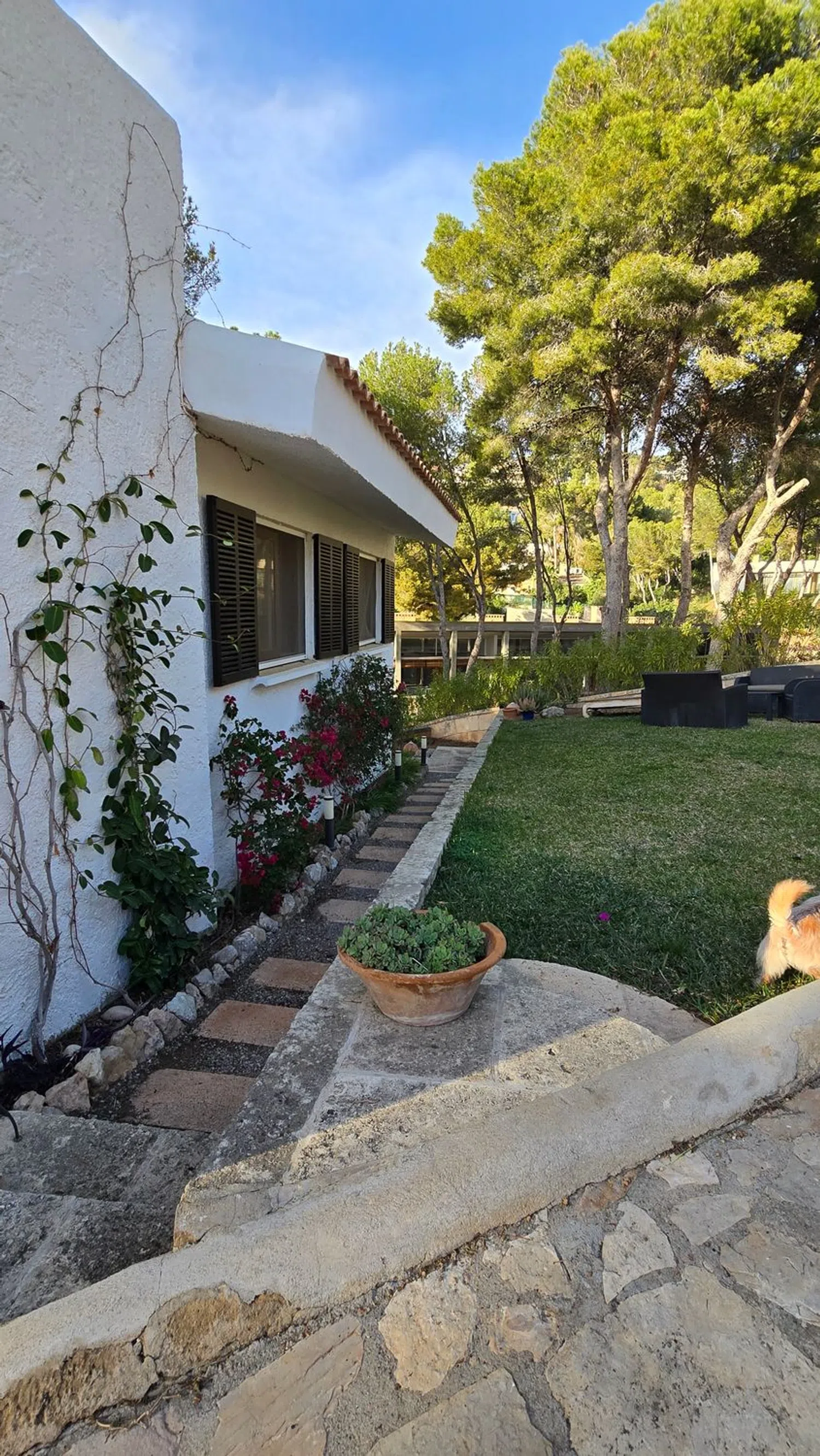 Casa independiente en Rei Jaume Ii, 17 - Foto 15