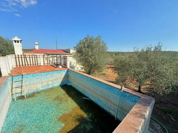 Casa o chalet independiente en Cv-383 s/n - Foto 16