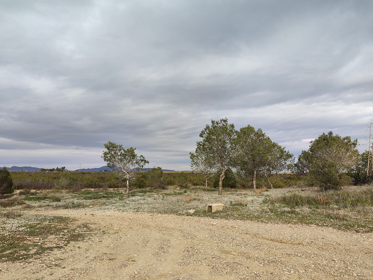 Finca rústica en casa morenos, 4 - Foto 7