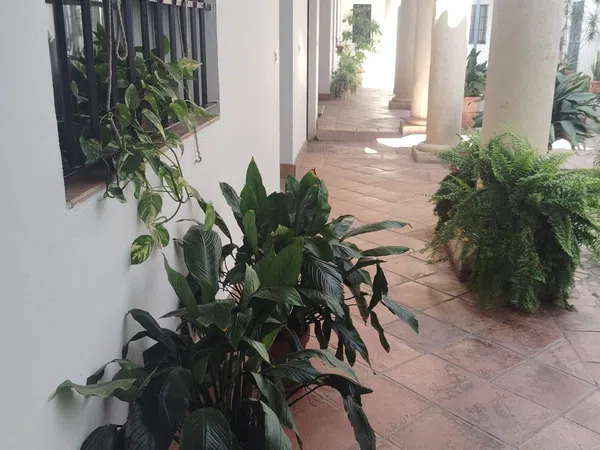 Piso en Calle Imperial, 43 - Foto 3