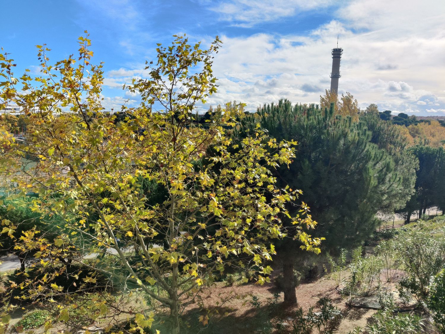 Dúplex en Sector Foresta, 14 - Foto 22