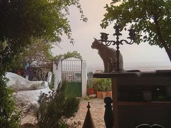 Casa terrera en Carril de San Miguel, 5 - Foto 2