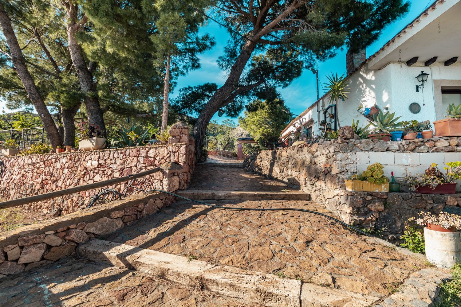 Cortijo en Pista Forestal Felix s/n - Foto 39