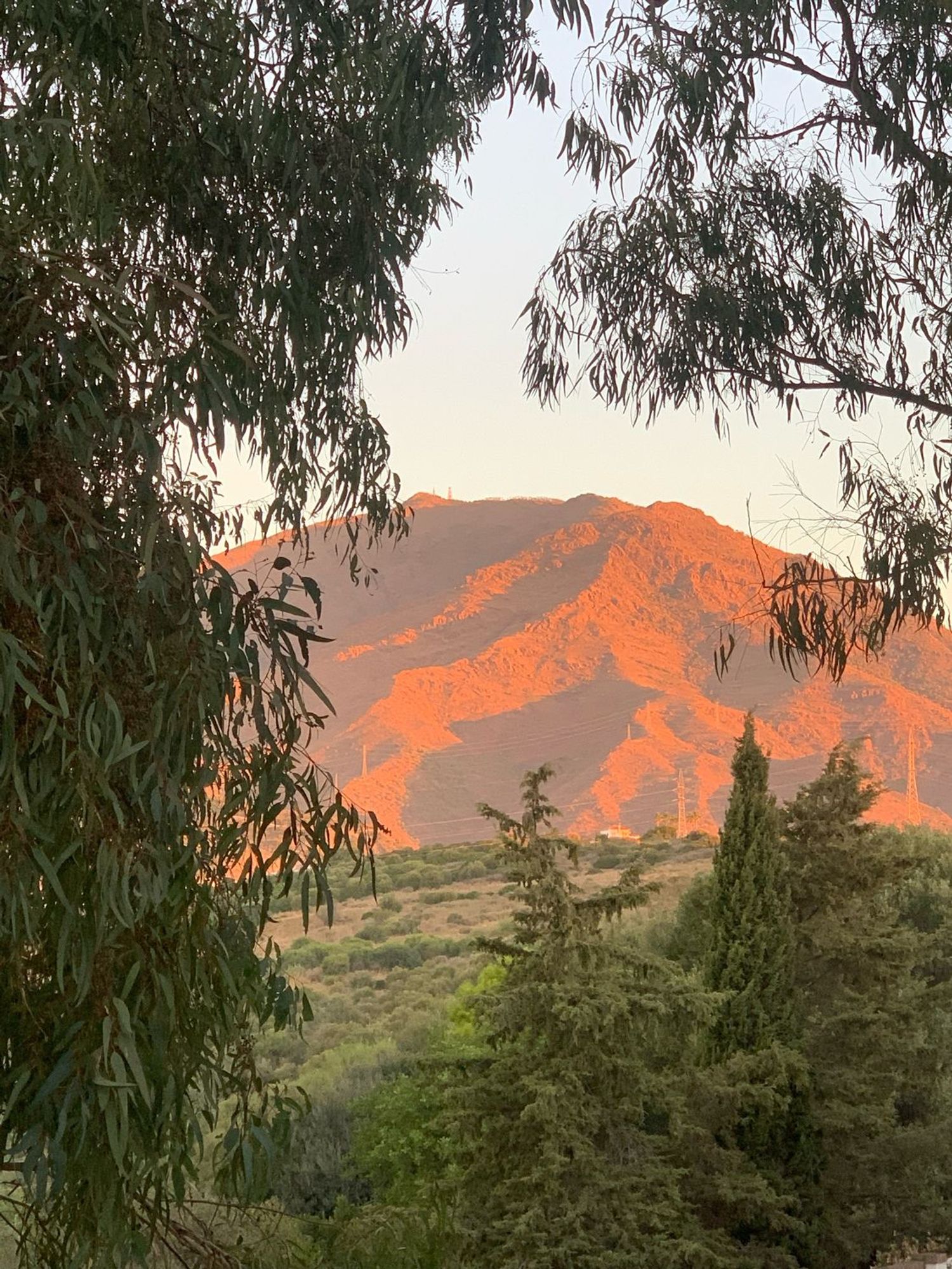 Piso en avenida Del Fuego, 50 - Foto 30