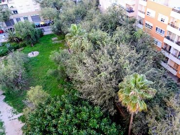 Piso en  Palma de Mallorca - Foto 16