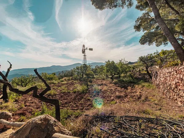 Cortijo en Pista Forestal Felix s/n - Foto 14