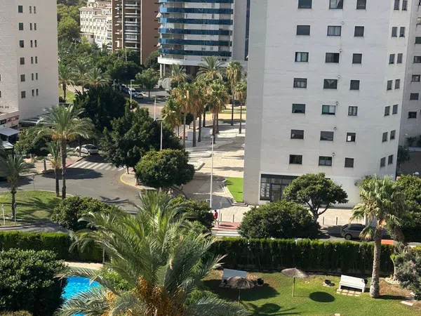 Piso en Calle Migjorn, 5, Alitana - Casablanca - Foto 17