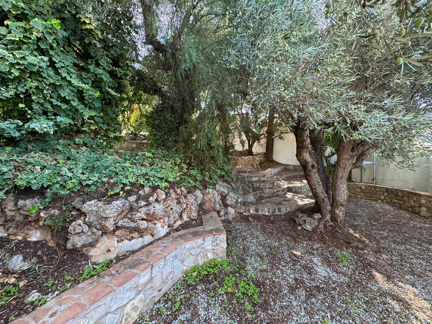 Cortijo en Cortijo en Calle Tejarejo, 560 - Foto 32