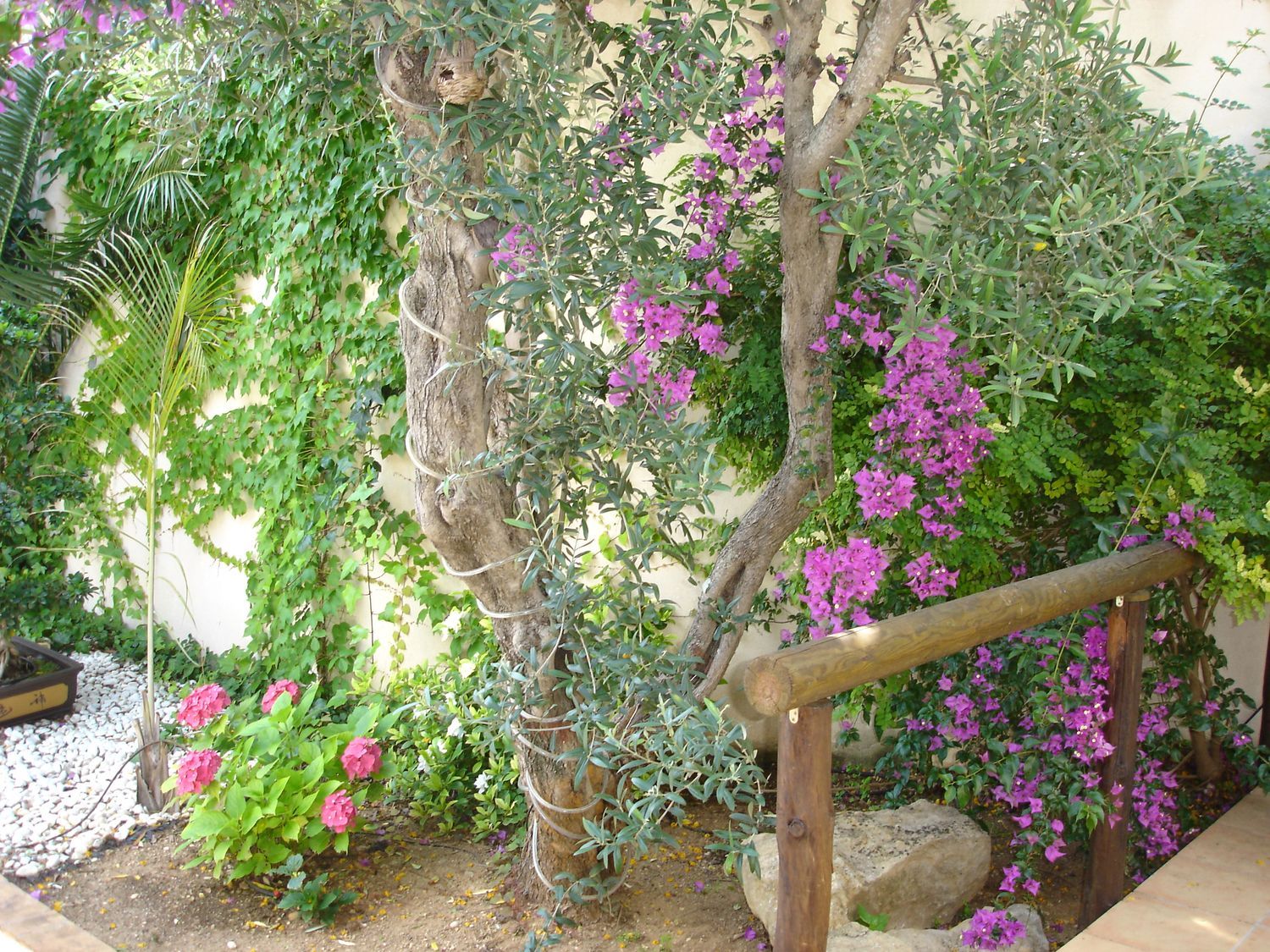Casa o chalet independiente en El Montgó, El Montgó - Foto 37