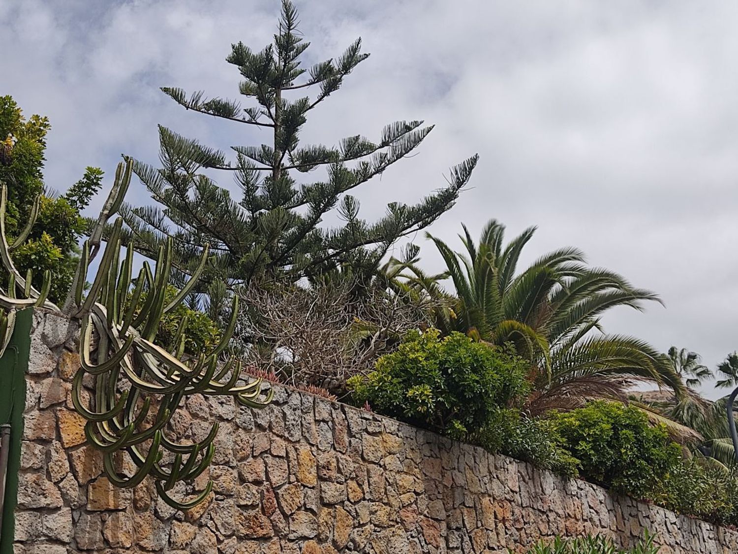 Piso en carretera General Puerto Cruz - Arenas, 66 - Foto 10