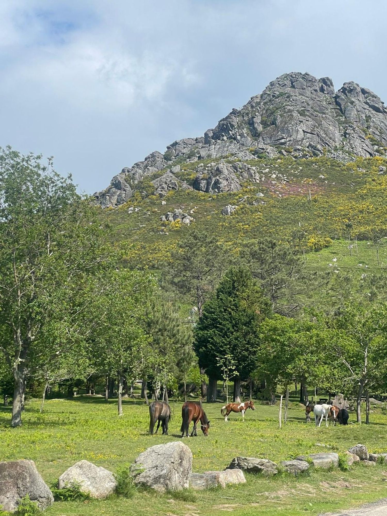 Chalet pareado en camino Sanín, 70 - Foto 36