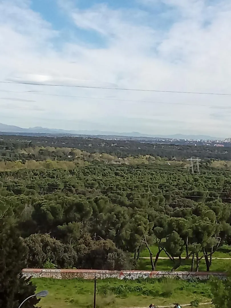 Piso en  Carretera de Boadilla del Monte 23 - Foto 17