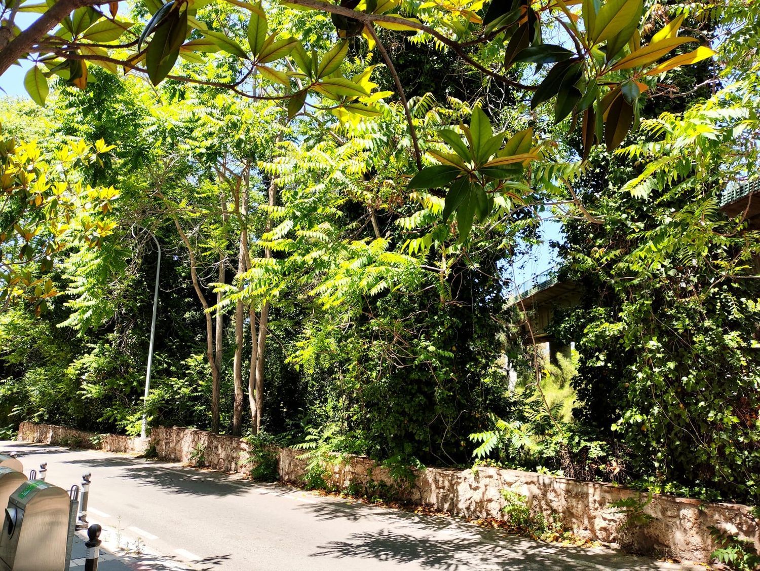 Piso en paseo del Pan Triste, 12 - Foto 14