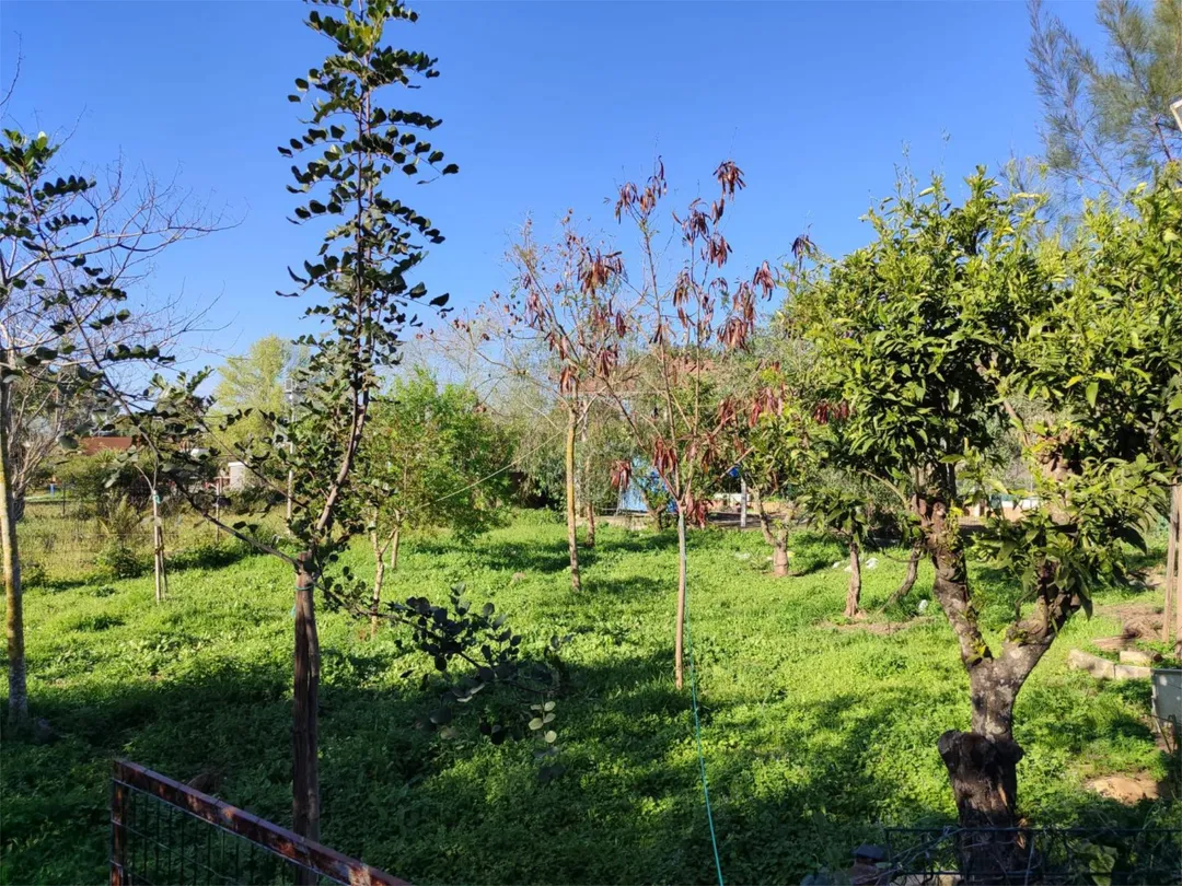 Chalet en Alcalá de Guadaira - Foto 28