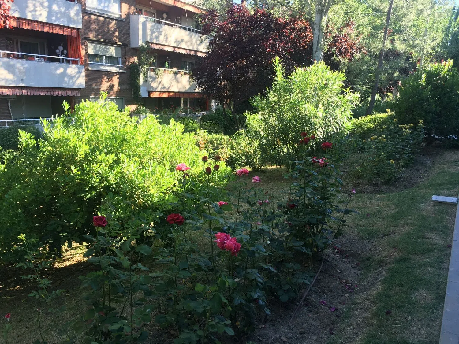 Piso en calle solano, 6 -20 - Foto 7