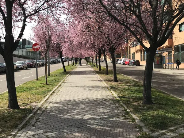 Piso en avenida de los Prunos, 15 - Foto 20