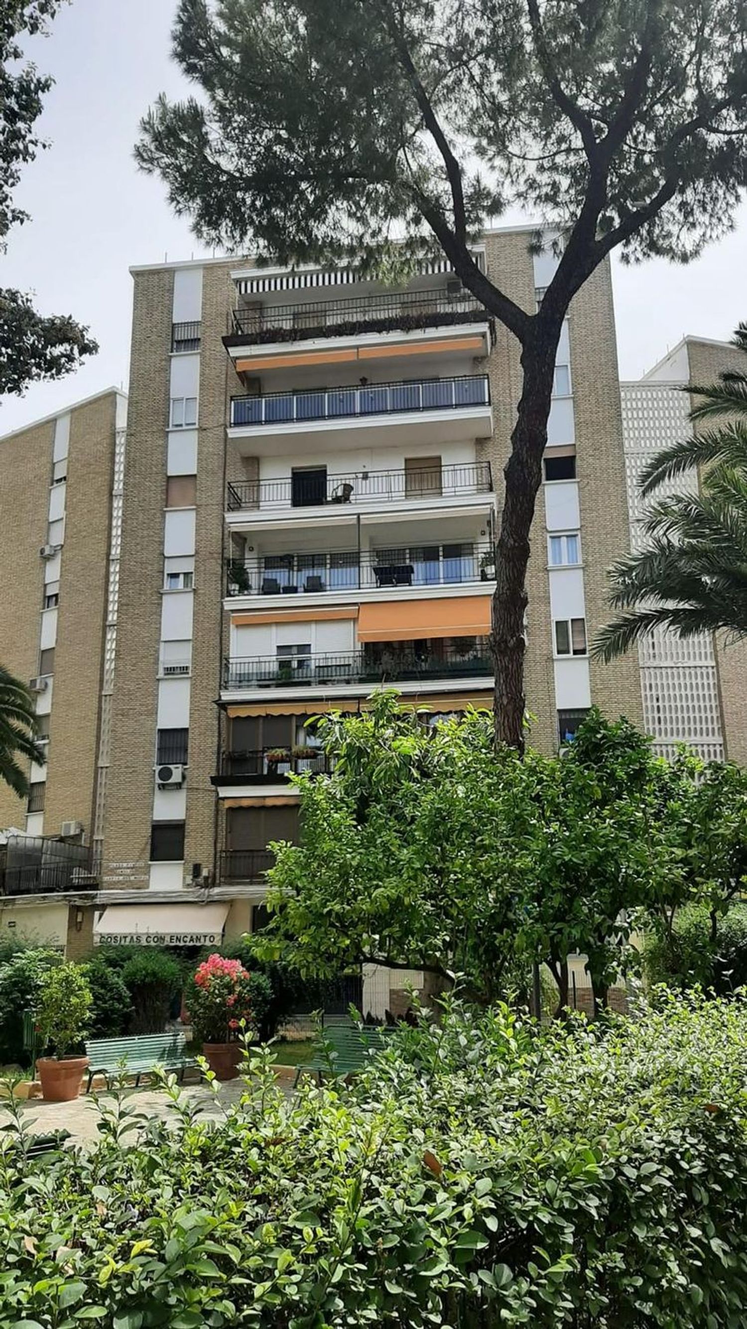 Piso en plaza Pintor Amalio García del Moral, 9 - Foto 15