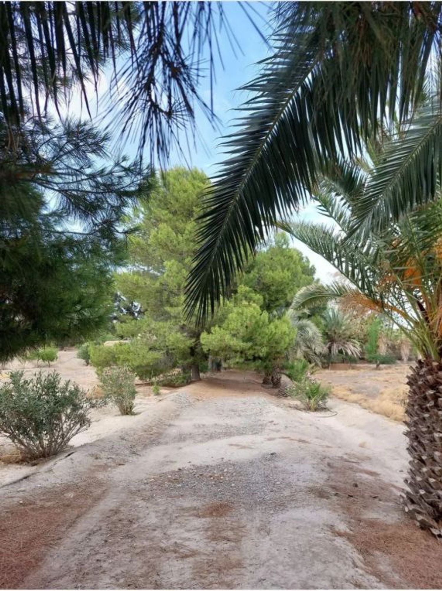 Cortijo en Cortijo en Rambla de Partaloa s/n - Foto 15
