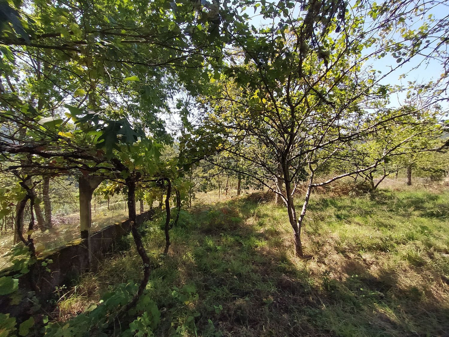 Casa rural en Senin, 6 - Foto 3