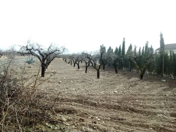 Finca rústica en Rm-a14 s/n - Foto 20