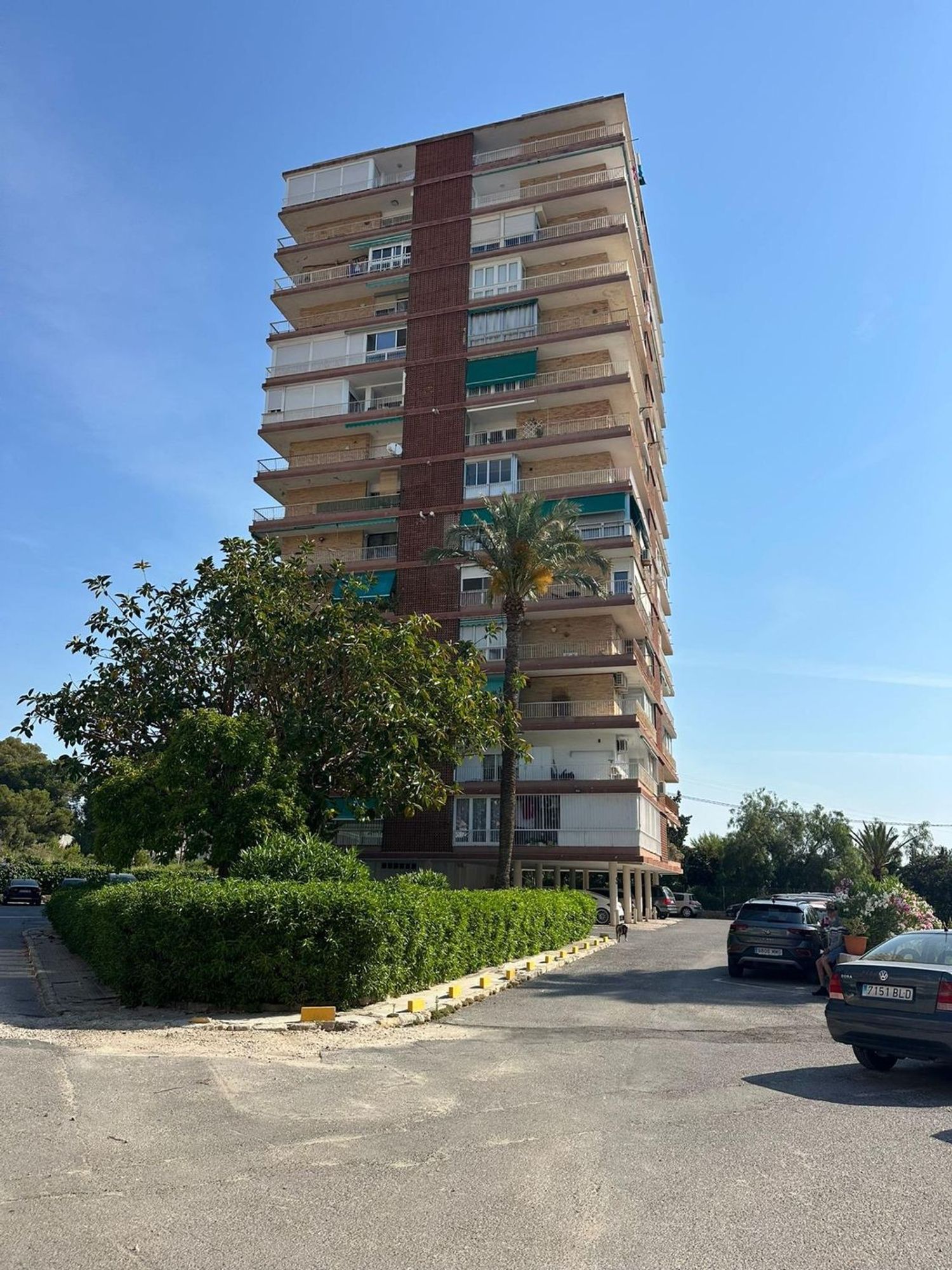 Piso en Avenida de la Condomina, La Albufereta - Foto 35