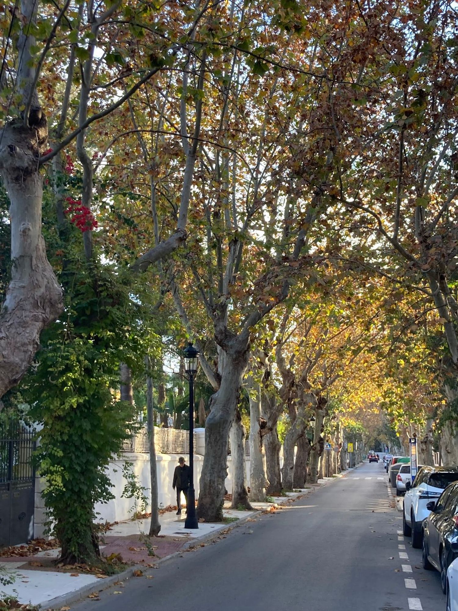 Piso en Calle Goethe, 3 -5, Limonar - Foto 19