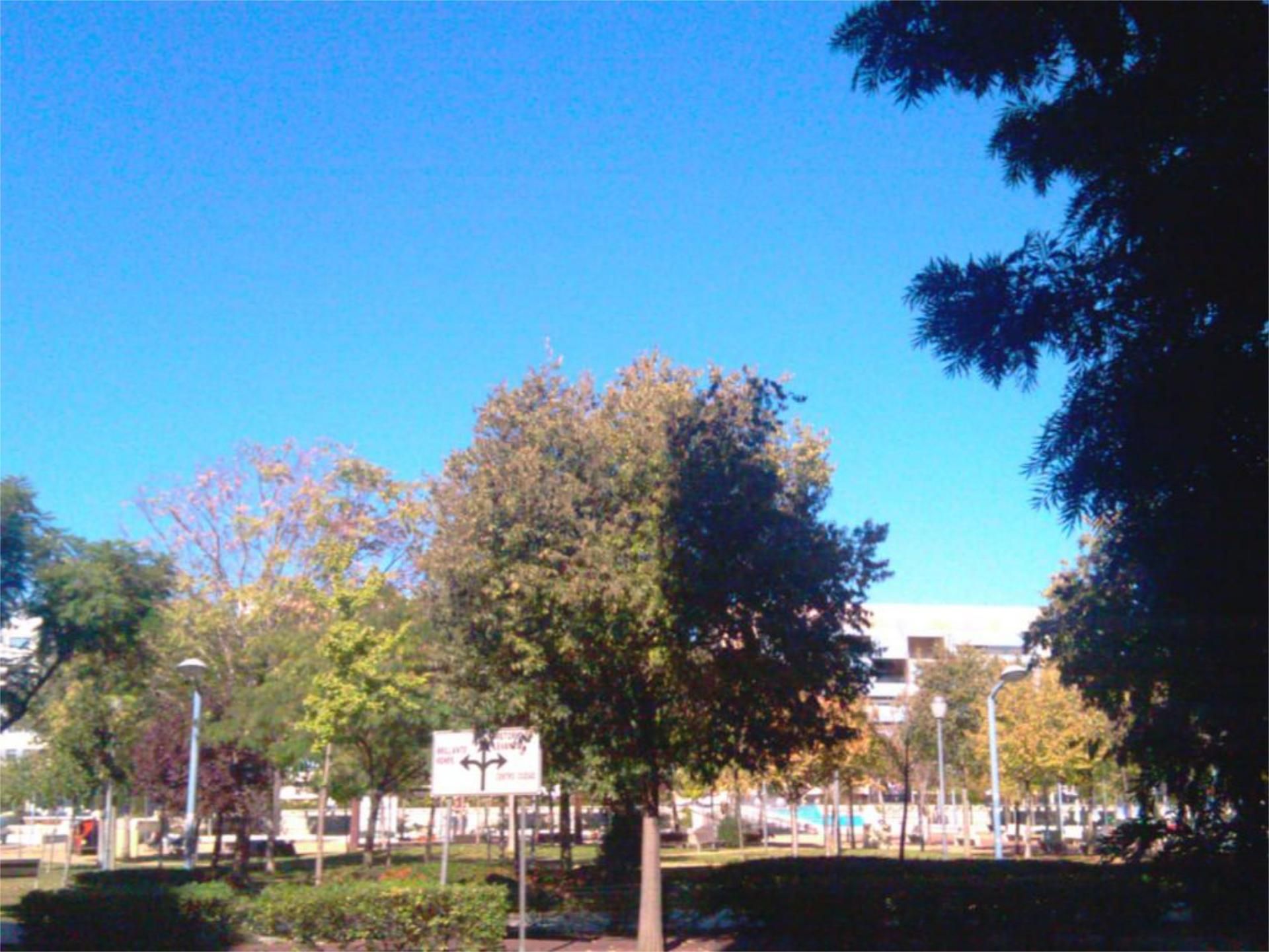 Piso en  Avenida de América 35 - Foto 2