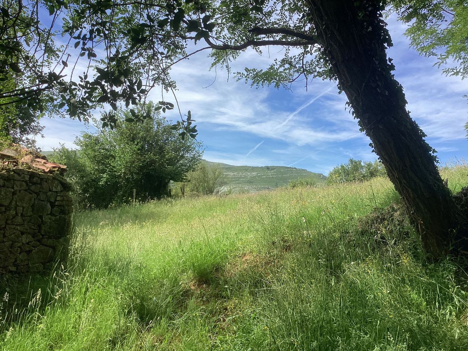Casa rural en Avenida Alisas, 3 Km - Foto 29