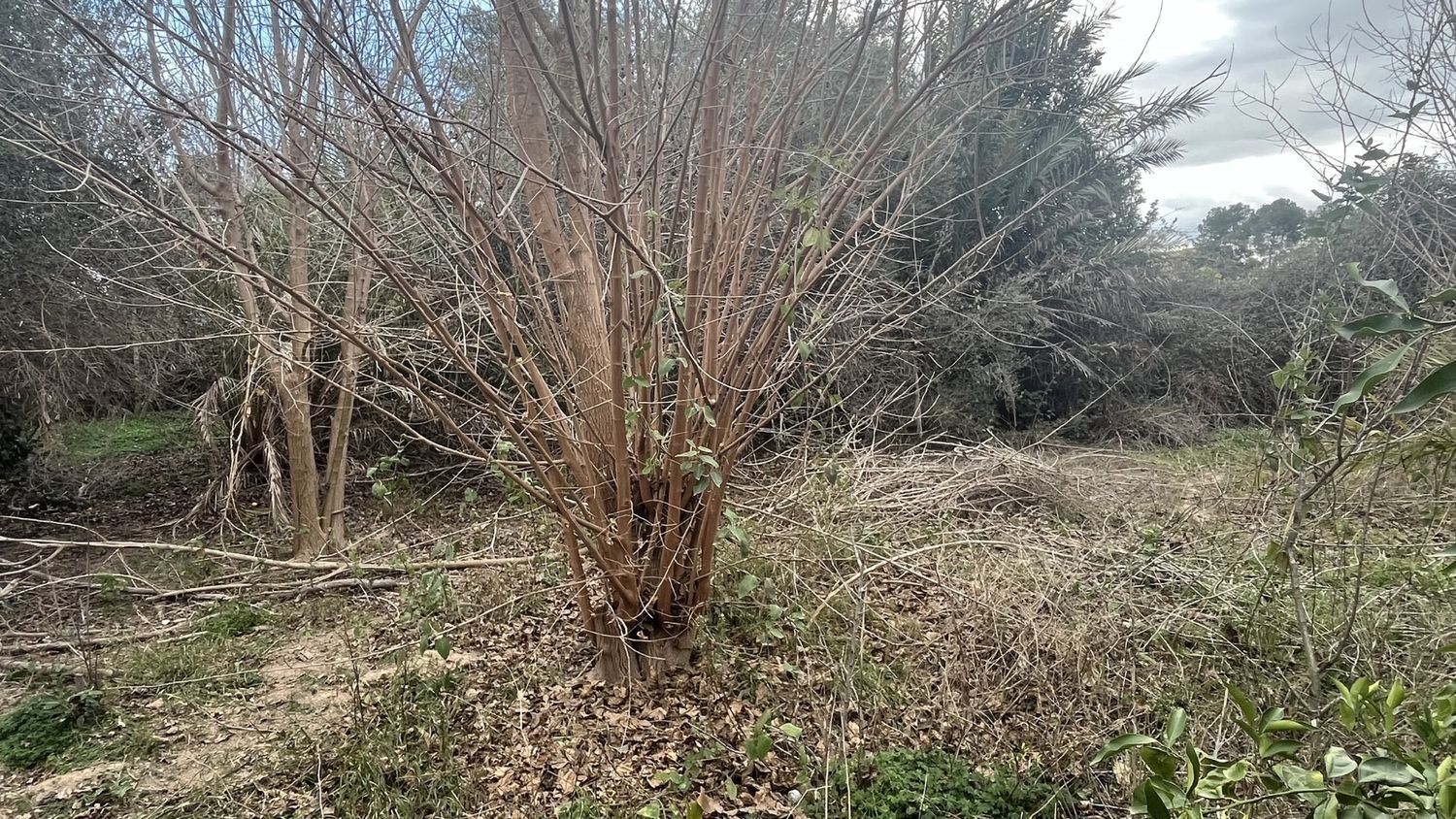 Casa independiente en Diseminado Mundo Nuevo, 19 a - Foto 10