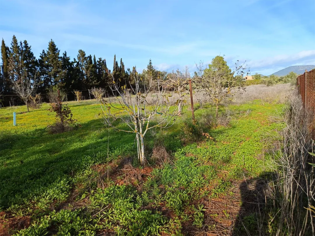 Finca rústica en  Camí Vell de Cala Pi 41 - Foto 2