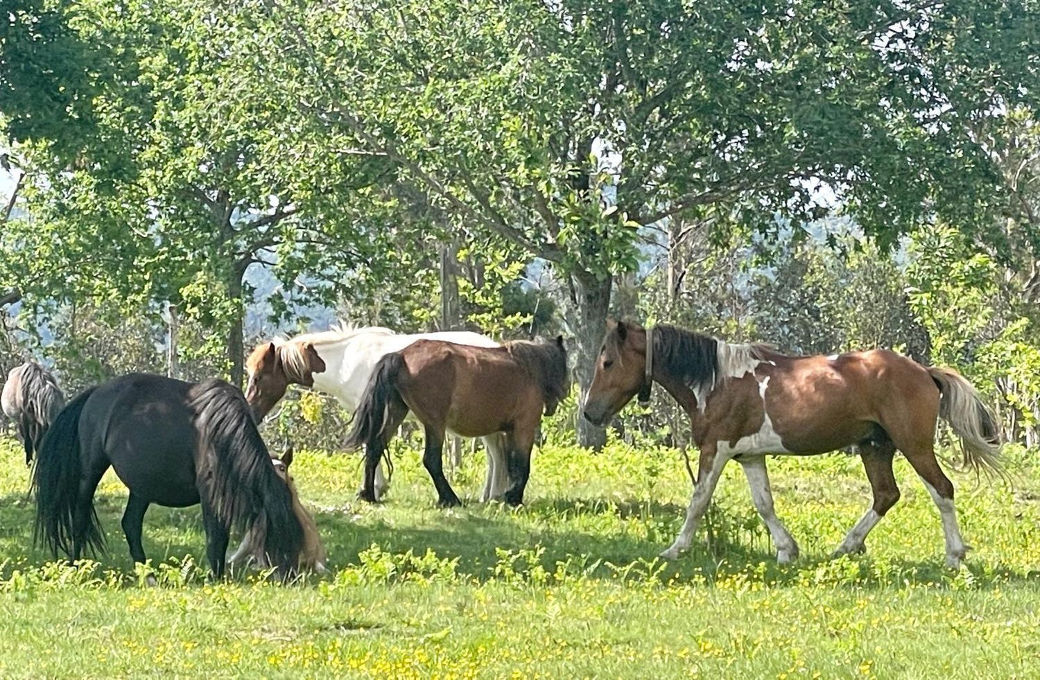 Chalet pareado en camino Sanín, 70 - Foto 37