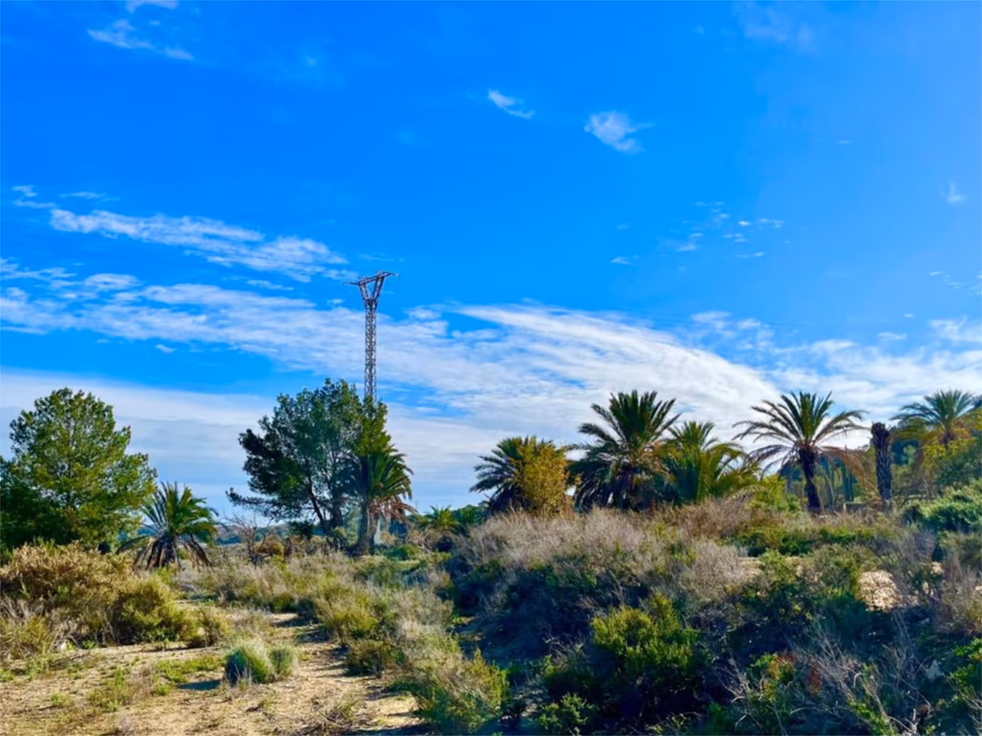 Finca rústica en  Camino Viejo de Saladas 10 - Foto 23