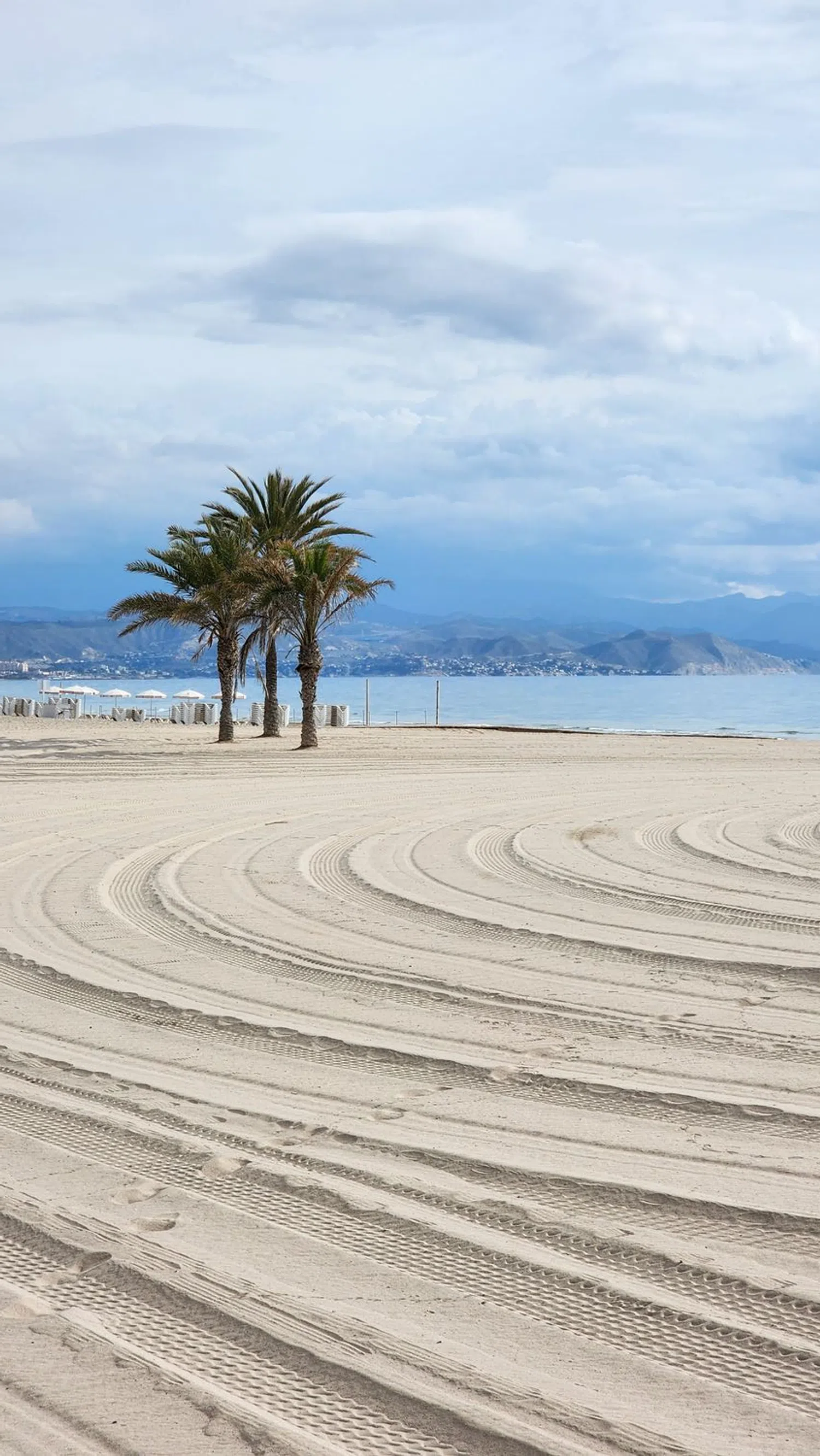 Piso en avenida de la Costa Blanca, 146 - Foto 7
