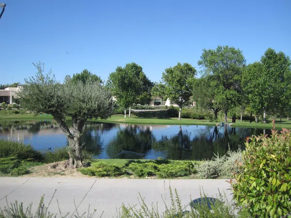 Casa o chalet independiente en Paseo de los Lagos, 1, La Finca - Foto 36