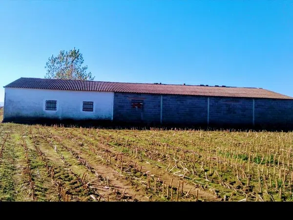 Finca rústica en Pueblecillo, 1 - Foto 21