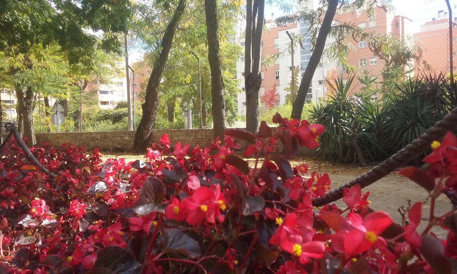 Piso en paseo de la Alameda de Osuna, 10 - Foto 17