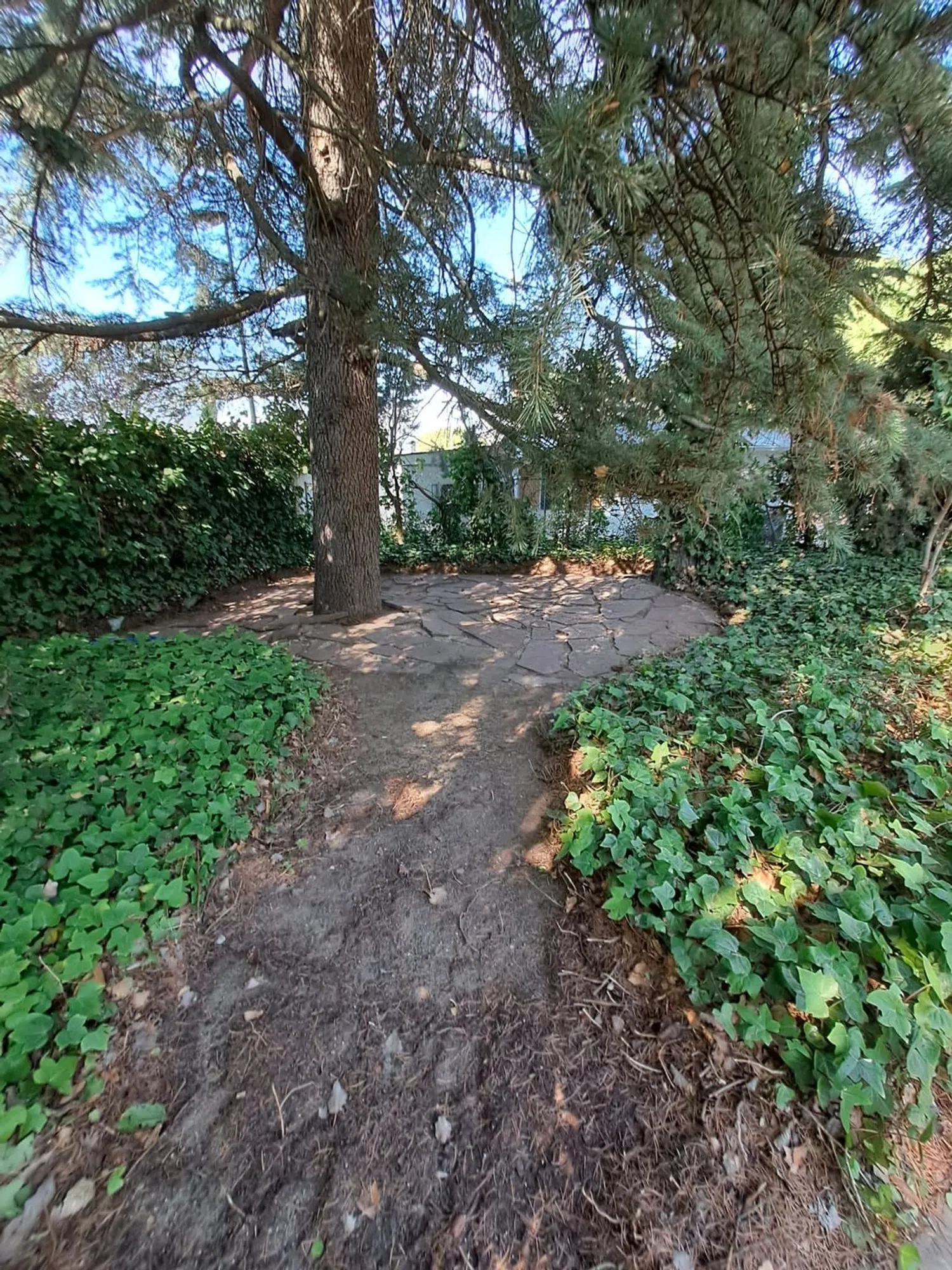 Casa independiente en calle de Santa Teresa, 18 - Foto 15